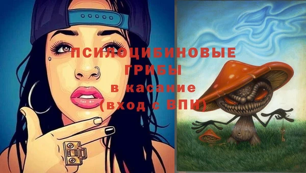 твердый Балахна